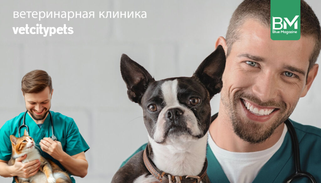 ветеринарная клиника vetcitypets